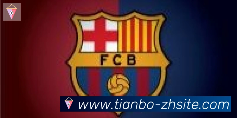 天博官网合作伙伴