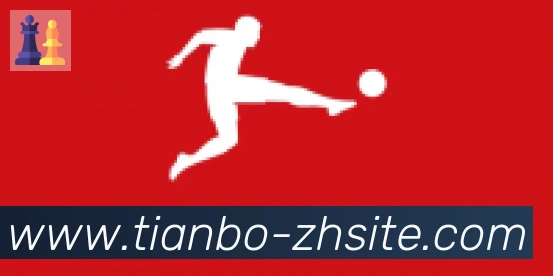 天博官网合作伙伴